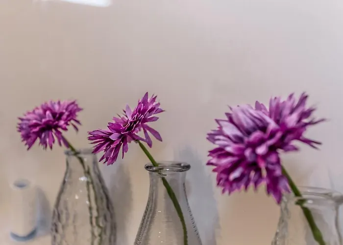 Apartment Mirela Apartment *